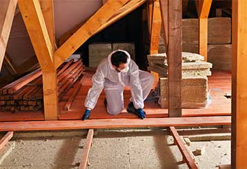 Comparing and Contrasting Attic Insulation | Attic Cleaning Los Angeles, CA