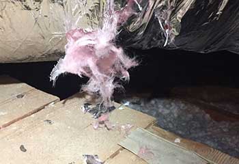 Attic Insulation Replacement in Santa Monica | Attic Cleaning Los Angeles