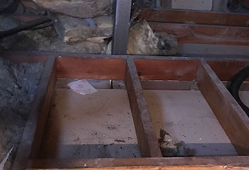 Rodent Proofing | Attic Cleaning Los Angeles, CA