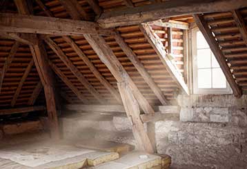 When To Have Your Attic Professionally Cleaned | Attic Cleaning Los Angeles, CA