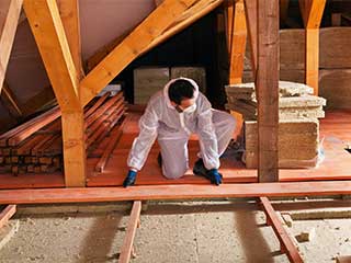Attic Insulation Comparing and Contrasting | Attic Cleaning Los Angeles, CA Attic Insulation Comparing and Contrasting | Attic Cleaning Los Angeles, CA