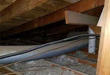 Attic Insulation Removal | Attic Cleaning Los Angeles, CA