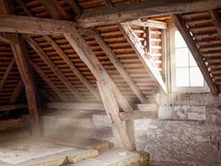 When To Have Attic Professionally Cleaned | Attic Cleaning Los Angeles, CA When To Have Attic Professionally Cleaned | Attic Cleaning Los Angeles, CA